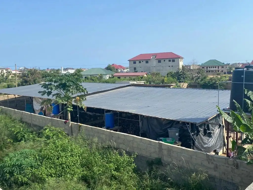PAMA FARMS poultry houses in Kasoa, with the town behind